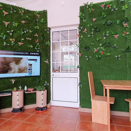 Bruma Hostel Ponta Delgada  Bagian luar foto